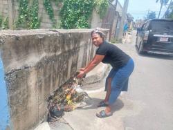 Cindy Ferguson shows the wall that she says diverts rainwater into her yard.