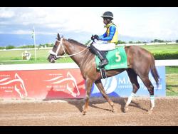 POWER FROM ABOVE ... a banker in Race 4.