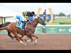PASSWORD, ridden by Robert Halledeen,  wins the sixth race over four furlongs straight at Caymanas Park on Saturday, June 8,, 2024.