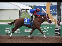  SHE’S THAT GIRL, ridden by Tevin Foster, wins the eighth race over six furlongs at Caymanas Park on Saturday, June 8, 2024.