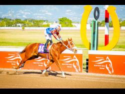 NOBLE IMPULSE, ridden by Tevin Foster, wins the sixth race over 5-1/2 furlongs at Caymanas Park on Sunday, January 15, 2023.