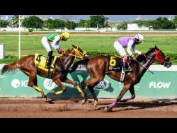  STORM BOY (right),  ridden by  Ramon Nepare,  wins the eighth race over seven  furlongs at Caymanas Park on Saturday, July 13, 2024.