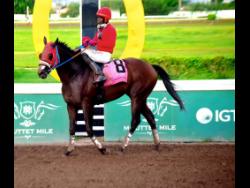 FRED THE GREAT, ridden by Tevin Foster, walks by the winning post after landing the BIG MAN IN TOWN Trophy over a mile at Caymanas Park on Saturday. The event was a three-year-old and upwards Overnight Allowance Stakes.