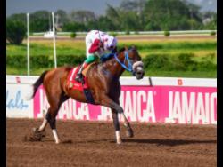 FUNCAANDUN, ridden by Jordan Barrett, wins the She’s  A Maneater  Trophy over a mile at Caymanas Park on Saturday, July 27, 2024.