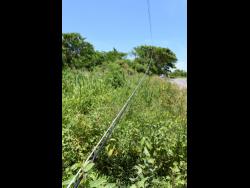 Downed power lines are spotted in the Salt River community of Clarendon. Residents are appealing to the Jamaica Public Service for the speedy return of electricity due to an increase in criminal activity, which they say is caused by the lack of electricity.