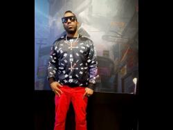 Credit: Contributed Immperial Alley Cat