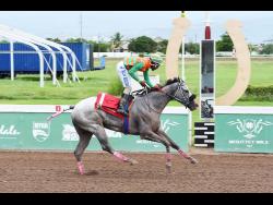 TEQUILA FLIGHT, ridden by  Oshane Nugent, wins the fifth race over seven furlongs  at Caymanas Park on Sunday, October 6, 2024. The four-year-old filly’s victory gave Nugent his 100th career win.