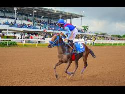 BAD INVESTMENT, ridden by Raddesh Roman, comes home a lonely winner in the eighth race over a mile at Caymanas Park on Sunday, October 20.
