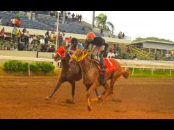NOBLE ATTITUDE (right), ridden by Dane Dawkins, wins the ninth race ahead of LADY ABHIMALA (Samantha Fletcher) over 5 1/2 furlongs at Caymanas Park on Sunday, November 17, a four-year-old and upwards Restricted Allowance Stakes. 