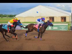 ACKNOWLEDGEME (right), ridden by Dick Cardenas, winning the Master Blaster Trophy ahead of FLYBLUEJET (Javaniel Patterson) over five furlongs straight at Caymanas Park on Sunday, December 15.