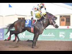 UNSPUN, ridden by Christopher Mamdeen, wining The DIE JOB Sprint Trophy ahead of favourite  RIDEALLDAY (Raddesh Roman) over six furlongs at Caymanas Park on Saturday. The race was part of the BGLC/TOBA two year-old Millionaires Series.