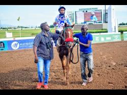 OIL MACHINE, with Raddesh Roman aboard, being led to the winners’ enclosure after winning the fifth race over a mile at Caymanas Park on Saturday, December 28, 2024. The event was a three-year-old and upwards Restricted Allowance Stakes.