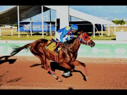 LADY ABHIMALA, ridden by Samantha Fletcher, wins the eighth race over five furlongs straight at Caymanas Park on Saturday.