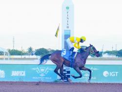 FIRST OFFENSE, ridden by Tevin Foster, wins the eighth  race over five furlongs round at Caymanas Park on Saturday.