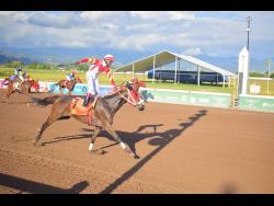  SECURITY CODE  ridden by Shavon Townsend, wins the seventh race over five furlongs straight at Caymanas Park on Wednesday, March 5, 2025.