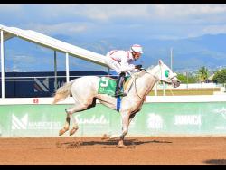 GOLDEN SYRUP, ridden by Shane Richardson and  running at long odds of 23-1, wins the sixth race at Caymanas Park on Saturday, March 8, 2025.