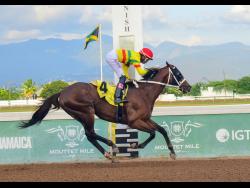 COMMANDANT, ridden by Raddesh Roman, wins the Alexander Hamilton Memorial Trophy over seven furlongs at Caymanas Park on Saturday.