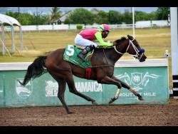 HANSA, ridden ridden by Tajay Suckoo, wins the Thornbird Stakes over seven furlongs at Caymanas Park on Saturday, April 12, 2025.