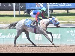 RUN JULIE RUN, with Reyan Lewis aboard, winning the Legal Light Trophy at Caymanas Park yesterday.