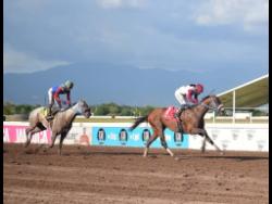FUNCAANDUN (right), ridden by Robert Halledeen, wins The Mark My Word Trophy over nine furlongs and 25 yards, a three-year-old and upwards open allowance stakes event, ahead of RUN JULIE RUN (Reyan Lewis) at Caymanas Park yesterday.