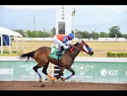 LET HIM FLY, ridden by Omar Walker, wins the fourth race over 6 1/2 furlongs  at Caymanas Park on Sunday, June 8.