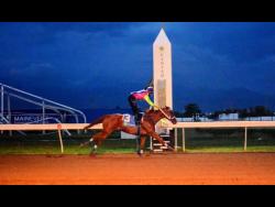 ZULU WARRIOR, ridden by Tyreese Anderson, wins the United Racehorse Trainers Association of Jamaica Trophy over six-and-a-half furlongs at Caymanas Park on Saturday.