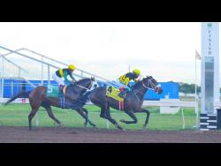 DIGITAL ONE, ridden by Dane Dawkins, wins the Alsafra Trophy ahead of SUPREMASI (Dick Cardenas) at Caymanas Park on Sunday.