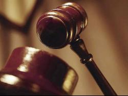 The company is before the court on breaches of the Wildlife Protection Act.
