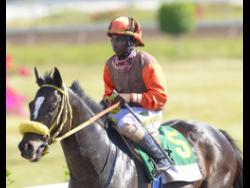 Jockey Dane Dawkins will be aboard CUTOUT.