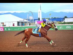 ZULU WARRIOR, ridden by  Demar Williams, wins the Security Department Trophy in a brisk 58 seconds over five furlongs at Caymanas Park on Saturday.