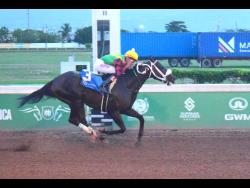 NAUTICAL STAR, ridden by Raddesh Roman, wins last Saturday’s St Catherine Cup  at Caymanas Park.
