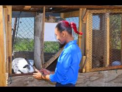 Paris Guthrie, a 21-year-old deaf entrepreneur, gently pets one of her rabbits.