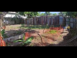 Residents of Dunkirk in east Kingston have transformed an empty lot where a burnt-out house once stood into a thriving garden. 