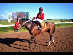 PACK PLAYS, with Christopher Mamdeen aboard, walk back to the winners’ enclosure after winning the Eileen Cliggott Memorial Trophy over 6 1/2 furlongs at Caymanas Park on Saturday.