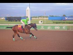 MACK AND ROME, ridden by Gavin Harris, wins the three-year-old and upwards Overnight Allowance Stakes George Hosang Trophy over five furlongs straight at Caymanas Park on Saturday.