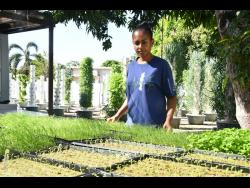 Kerrie-Anne Gray proves small spaces can yield big results.