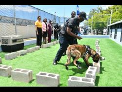 Dog handler Tricia Anderson (left) looks on as canine partner Thunder searches for contraband, during a demonstration of the capacities of the new Jamaica Customs Agency (JCA) Canine Programme, which was launched at Newport West, Kingston, on Monday. Observing is Supervisor, Contraband Enforcement Team, JCA, O’Neil Smart. 
