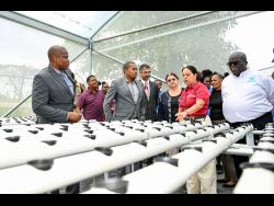 Inside the greenhouse, stakeholders examine modern systems highlighting the future of agriculture at St. Catherine High School.