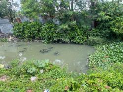 Residents of Riverton Meadows say a section used to be a chill spot, but it’s now a swamp.