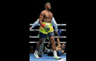 Jamaica’s Jerone ‘Beast’ Ennis walks to his corner after putting Argentinian Marcelo Adrian Fernandez on the canvas during their four-round  light-heavyweight fight at the Pickering Casino Resort in Ontario, Canada, last Saturday.