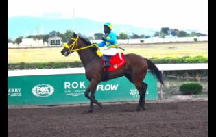  RHYTHM BUZZ, ridden by Javaniel Patterson, heads to the winners’ enclosure after winning the Henry W. Jahhai OD Memorial Trophy over six furlongs for three-year-old and upwards overnight allowance stakes at Caymanas Park last month.