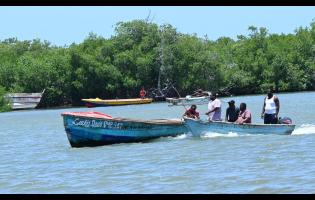 Fishermen in Old Harbour Bay moving their boat to the mangroves in anticipation of Hurricane Beryl.