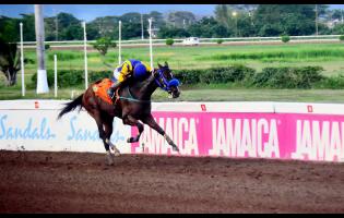 SMALL BOSS, ridden by Tevin Foster, winning the 11th race over 6 1/2 furlongs at Caymanas Park on Saturday.