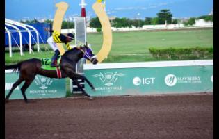 Raddesh Roman stands tall in the saddle as DIGITAL ONE wins the Trevor McKenzie Trophy over five furlongs round at Caymanas Park yesterday. The event was a three-year-old and upwards Restricted Overnight Allowance Stakes.