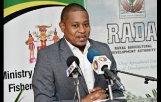 Credit: Rudolph Brown Floyd Green, minister of agriculture, fisheries & mining, speaks at the GK Insurance Weather Protect Farmers Beneficiaries insurance handover at the Ministry of Agriculture, Fisheries & Mining, on Hope Road on Wednesday.