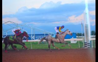 Credit: Anthony Minott/Freelance Photographer MOJITO (right), ridden by Raddesh Roman, wins the Jamaica Cup ahead of GIRVANO (Tevin Foster) at Caymanas Park yesterday.