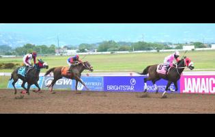 INTRESTNTIMESAHEAD (right), ridden by Anthony Allen, winning the third running of the Will In Charge Trophy race ahead of stablemate BRENDA BOY (left, Robert Halledeen) and MARK IDENTITY (centre, Dane Nelson) at Caymanas Park yesterday.