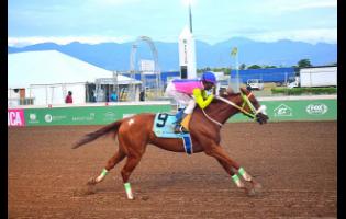 ZULU WARRIOR, ridden by  Demar Williams, wins the Security Department Trophy in a brisk 58 seconds over five furlongs at Caymanas Park on Saturday.
