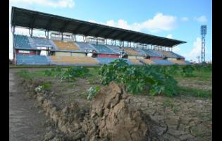 Vegetation taking root on the playing field at Montego Bay Sports Complex.