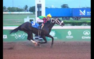 NAUTICAL STAR, ridden by Raddesh Roman, wins last Saturday’s St Catherine Cup  at Caymanas Park.